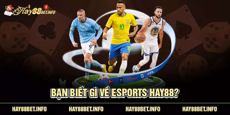 Bạn biết gì về Esports HAY88?