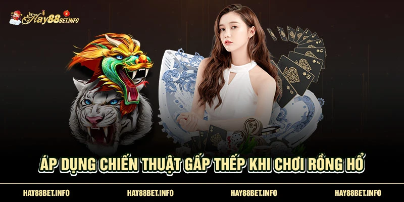 Áp dụng chiến thuật gấp thếp khi chơi Rồng Hổ