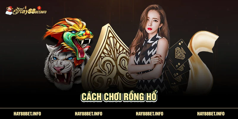 cách chơi rồng hổ