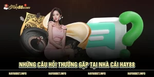 Những câu hỏi thường gặp