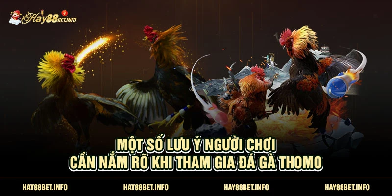 Một số lưu ý người chơi cần nắm rõ khi tham gia Đá Gà Thomo