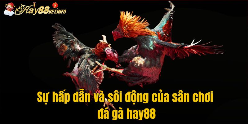 Sự hấp dẫn và sôi động của sân chơi đá gà Hay88