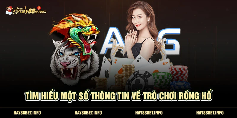 Tìm hiểu một số thông tin về trò chơi Rồng Hổ